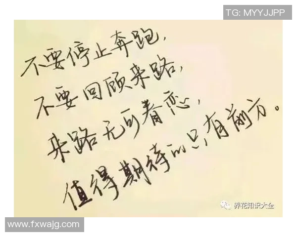 足球明星激励人生的励志图片展现奋斗精神与追梦力量