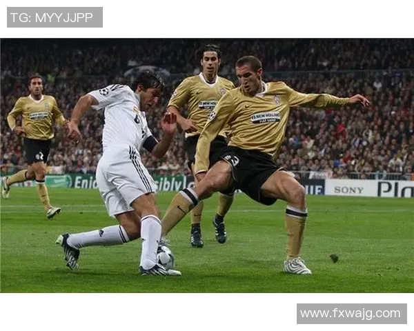 布伦瑞克与申花的精彩对决揭示足球魅力与团队精神的完美结合